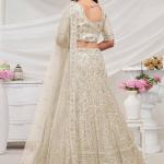 Net Trendy Lehenga Choli